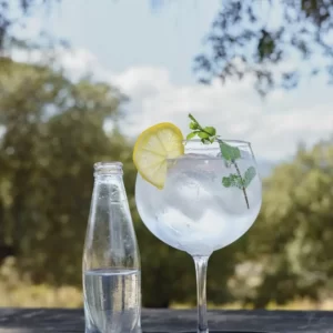 A-Z Beverage Buffet Quiz Xoriguer gin