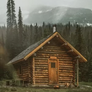 Which Bear Breed Are You? Quiz Log cabin