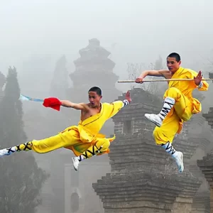Guess The Animated Movie Titles Quiz Kung Fu