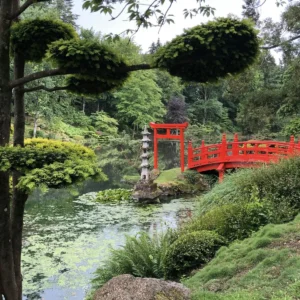Pick A-Z Activities & Find Out When You'll Be Rich Quiz Zen garden walk