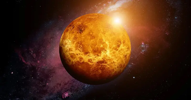 Venus Quiz